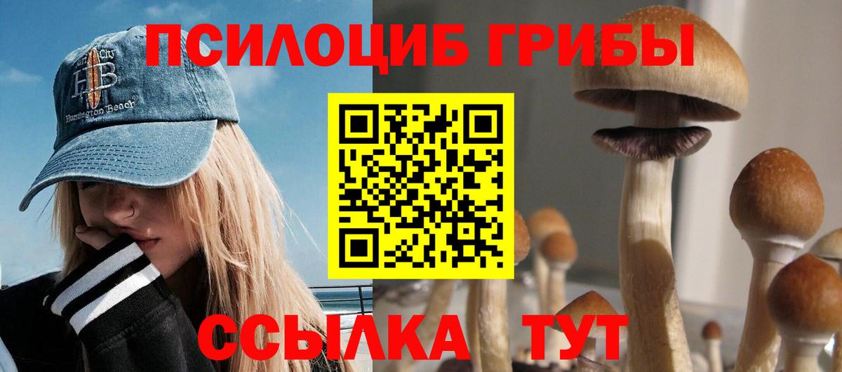 Псилоцибиновые грибы Cubensis Муравленко